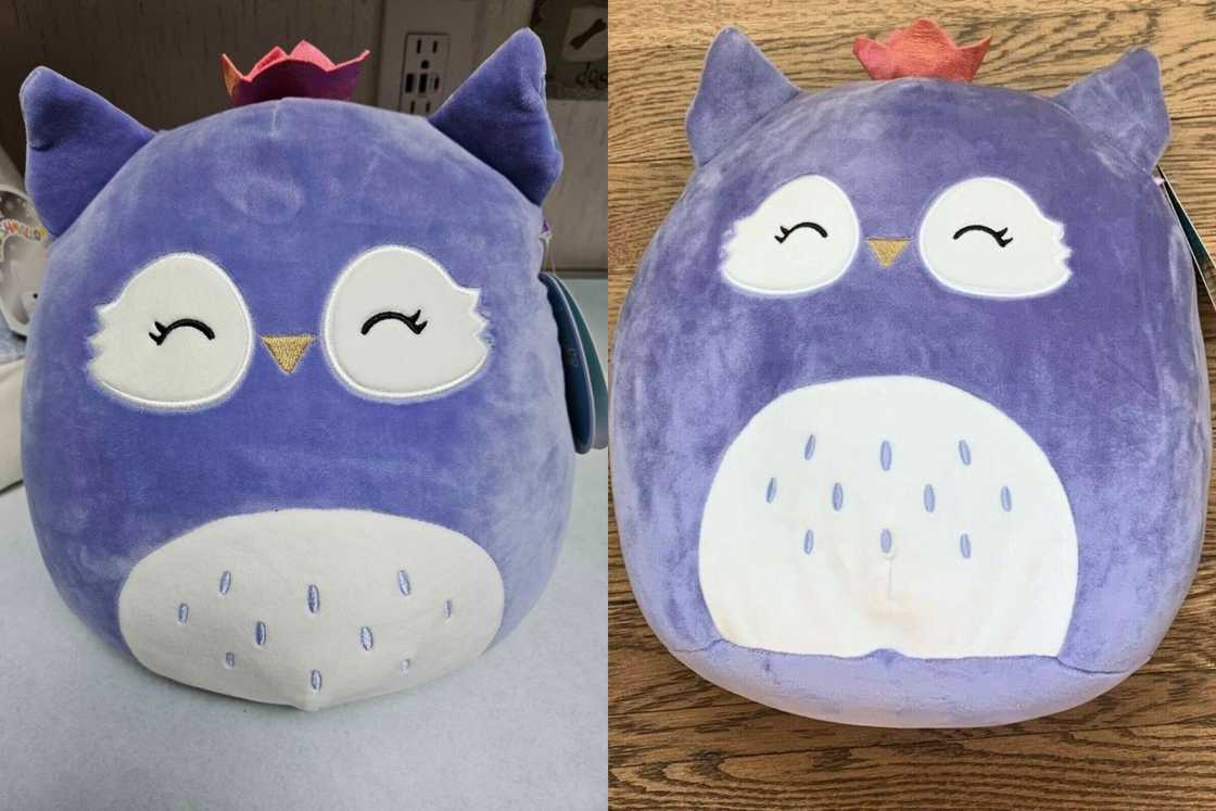 Fania, the Purple Owl, is lying on a white and wooden background Fania, the Purple Owl, is lying on a white and wooden background