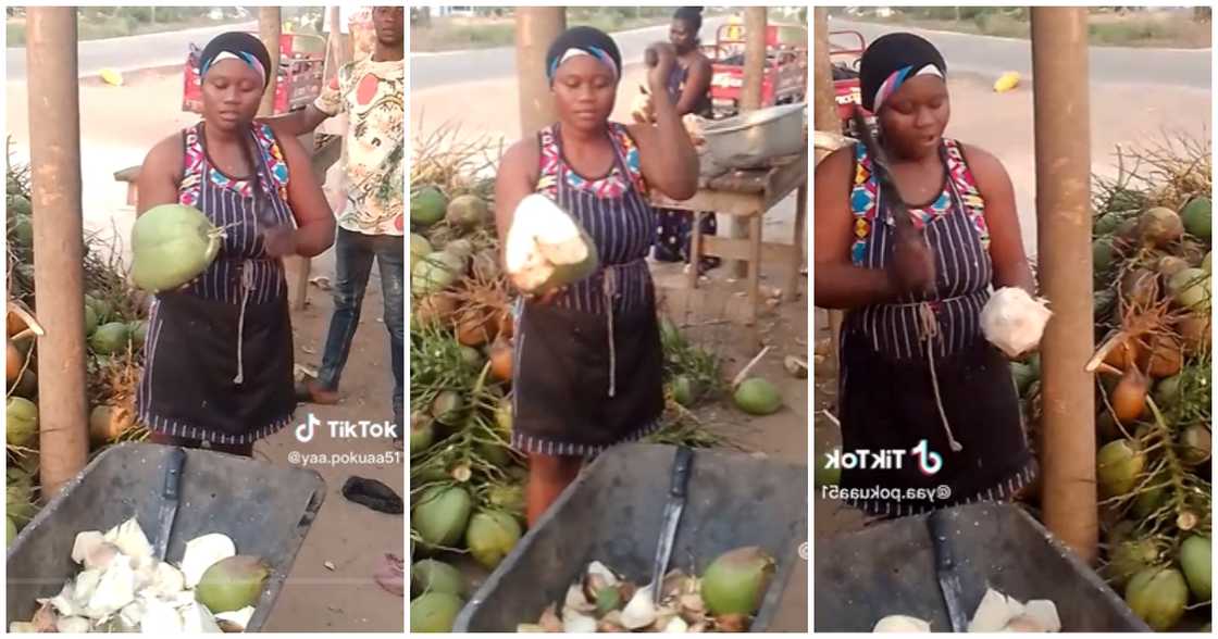 Photo of coconut seller