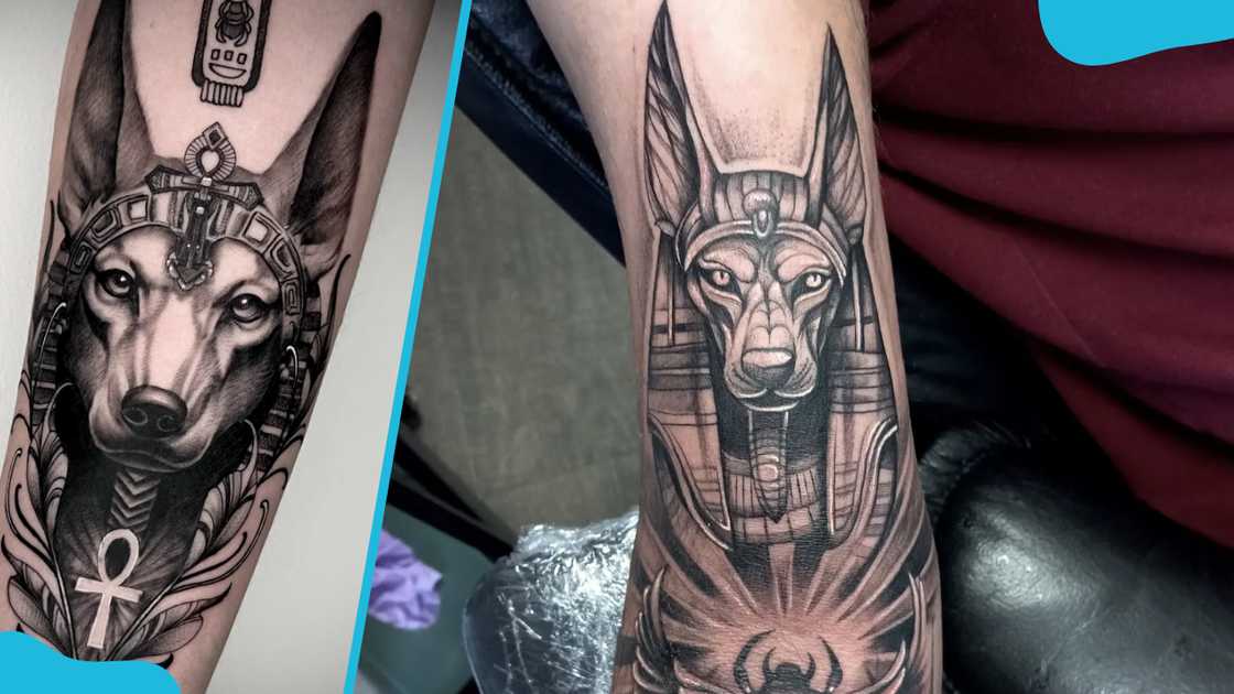 Egyptian god Anubis tattoo Egyptian god Anubis tattoo