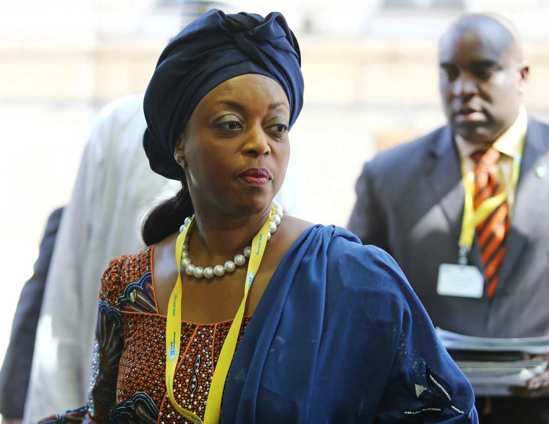 Diezani-Madueke was OPEC president from 2014 to 2015 Diezani-Madueke was OPEC president from 2014 to 2015