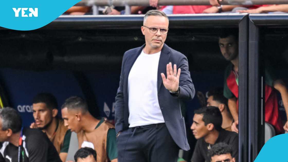 World Cup 2026, Morocco, World Cup quarter-final, France defeats Morocco, Morocco FIFA prize money, Morocco World Cup journey, Morocco World Cup achievements, Morocco coach, Mohamed Ouahbi, Morocco financial earnings.