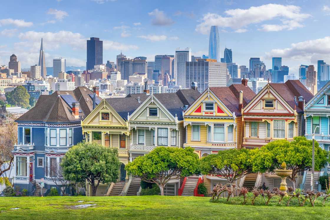 Buildings called Painted Ladies and Downtown of San Francisco