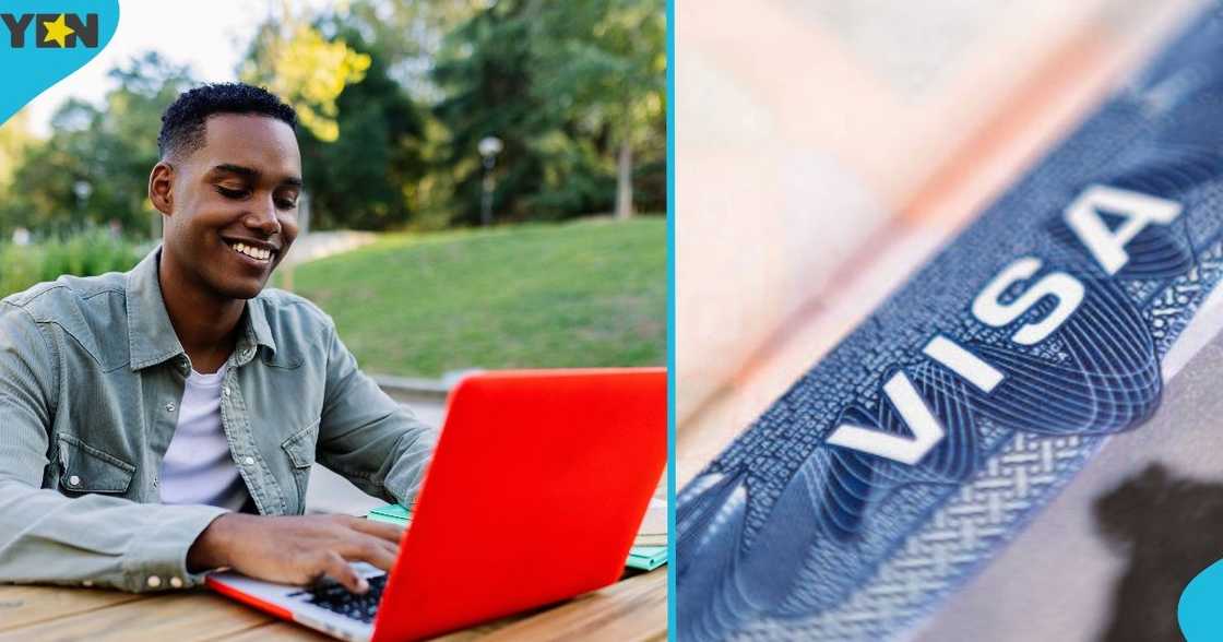 New Zealand, New Zealand government, New Zealand Immigration, New Zealand student visa rules, student visa requirements, foreign students New Zealand, New Zealand government, New Zealand Immigration, New Zealand student visa rules, student visa requirements, foreign students
