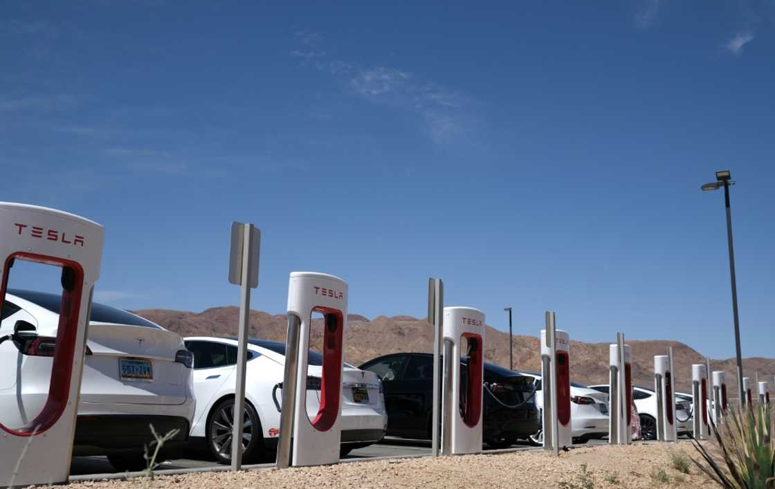Tesla is the undisputed leader in the electric vehicle sector, but its rivals are trying to catch up Tesla is the undisputed leader in the electric vehicle sector, but its rivals are trying to catch up