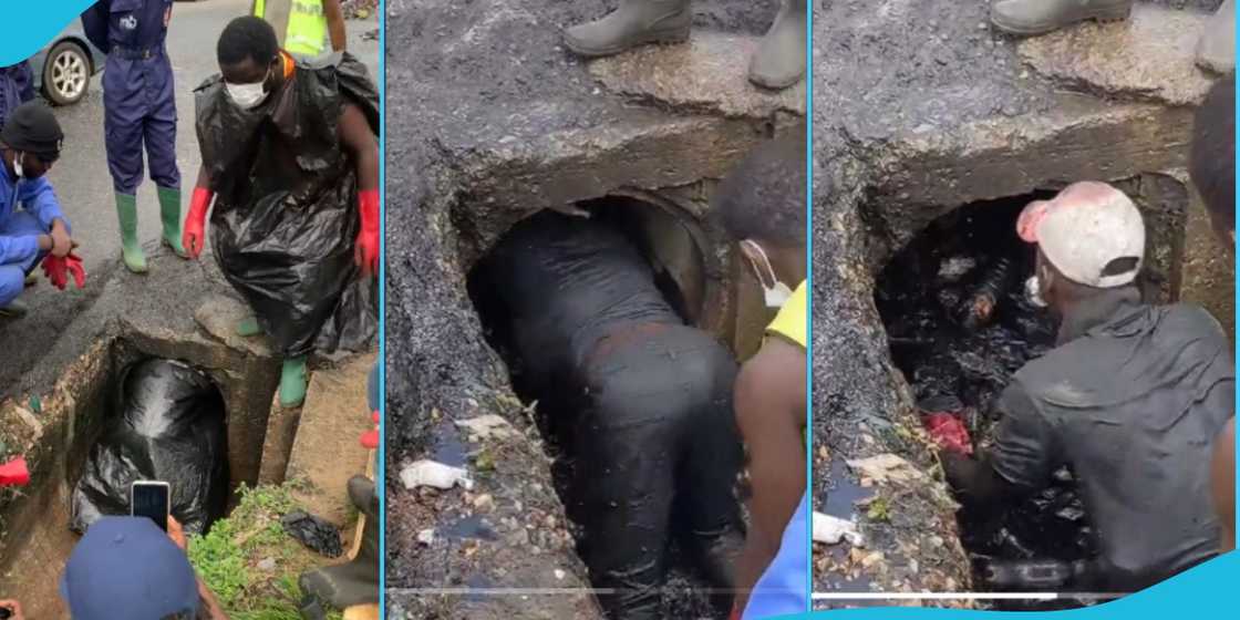 Buz Stop Boys Buz Stop Boys