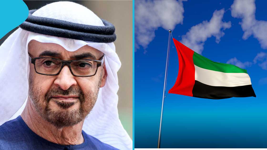 UAE entry regulations, foreign nationals entry UAE, travel document requirements UAE, border entry refusal UAE, UAE visa entry conditions, passport tampering consequences UAE, unapproved entry points UAE, traveller return costs UAE