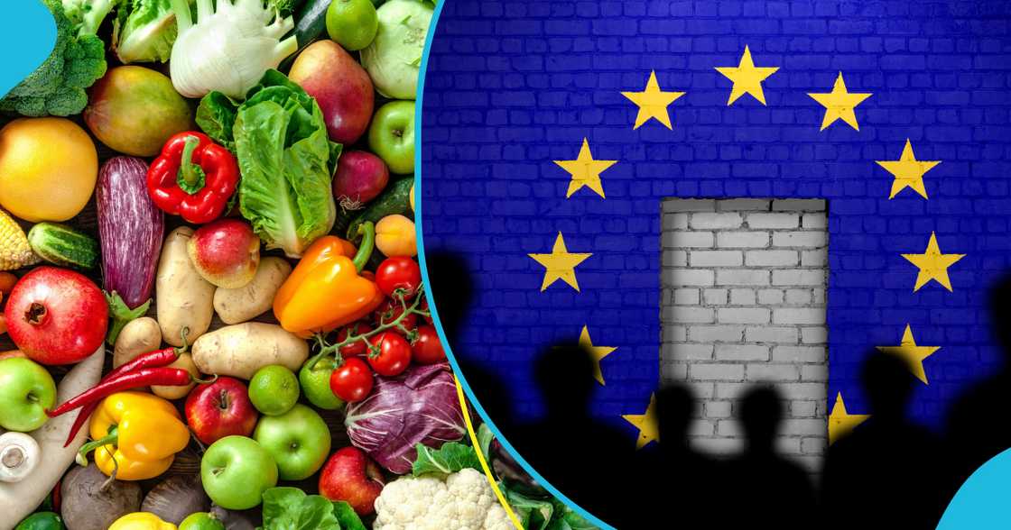 VEPEAG has warned that Ghana risks $50 million vegetable exports EU ban because of Galamsey