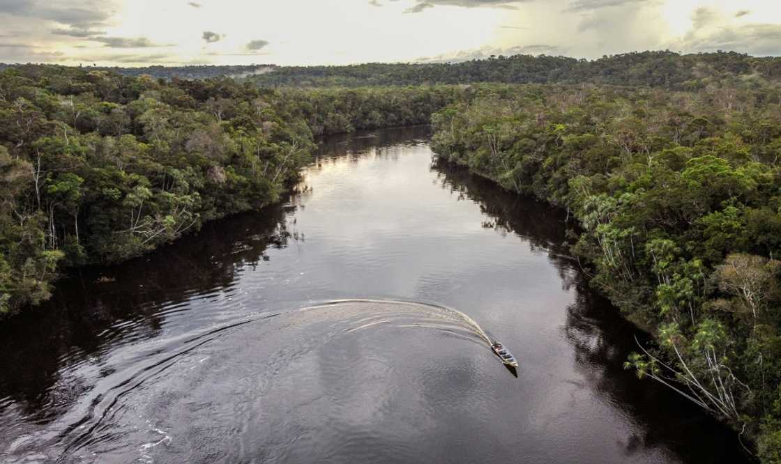 Carbon credits are supposed to help tackle global warming by funding activities such as protecting tropical forests