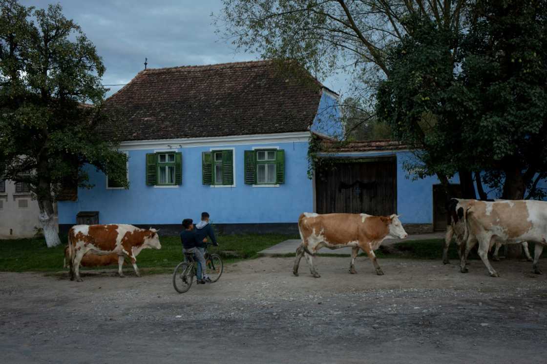 Charles III's foundation owns a property in the village