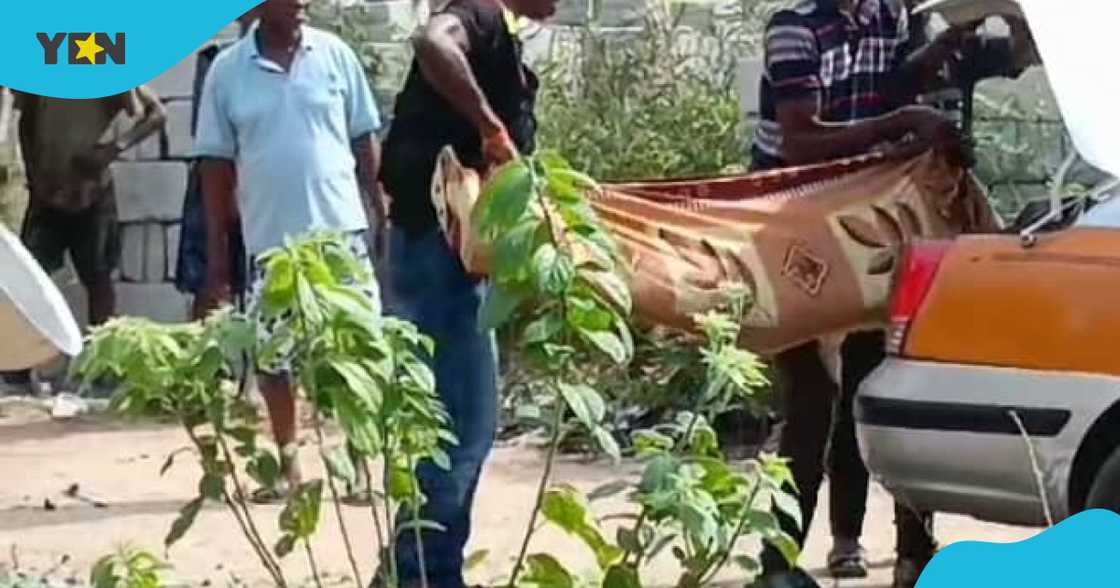 Momo vendor drinks poison Momo vendor drinks poison