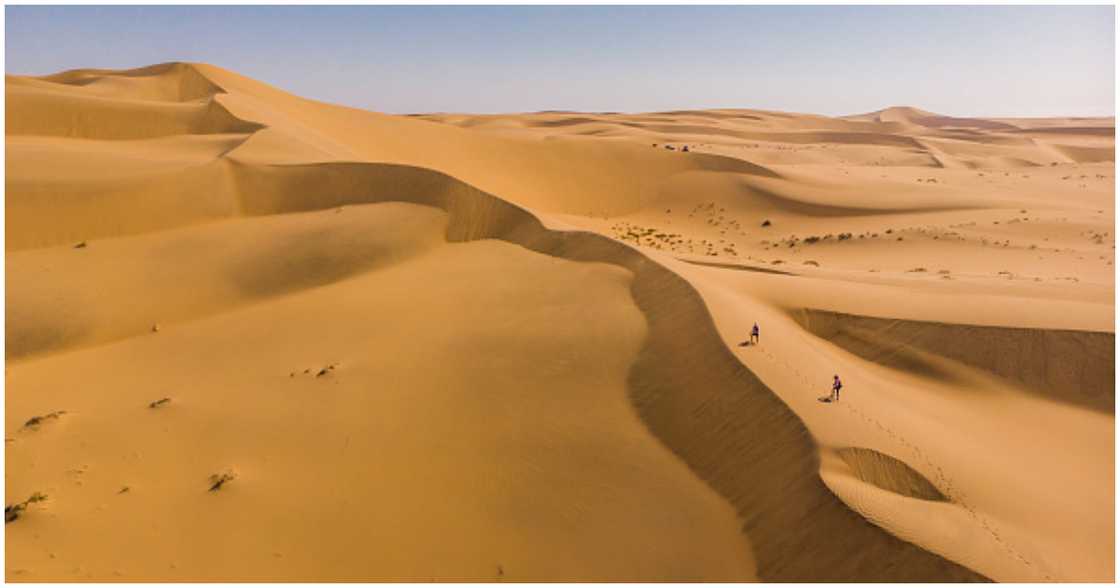 Namib Desert