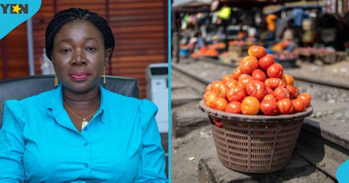 Elizabeth Ofosu-Adjare, the Ministry of Trade, Agribusiness & Industry, tomato traders, Burkina Faso, local production, Ghana-Burkina Faso relationship