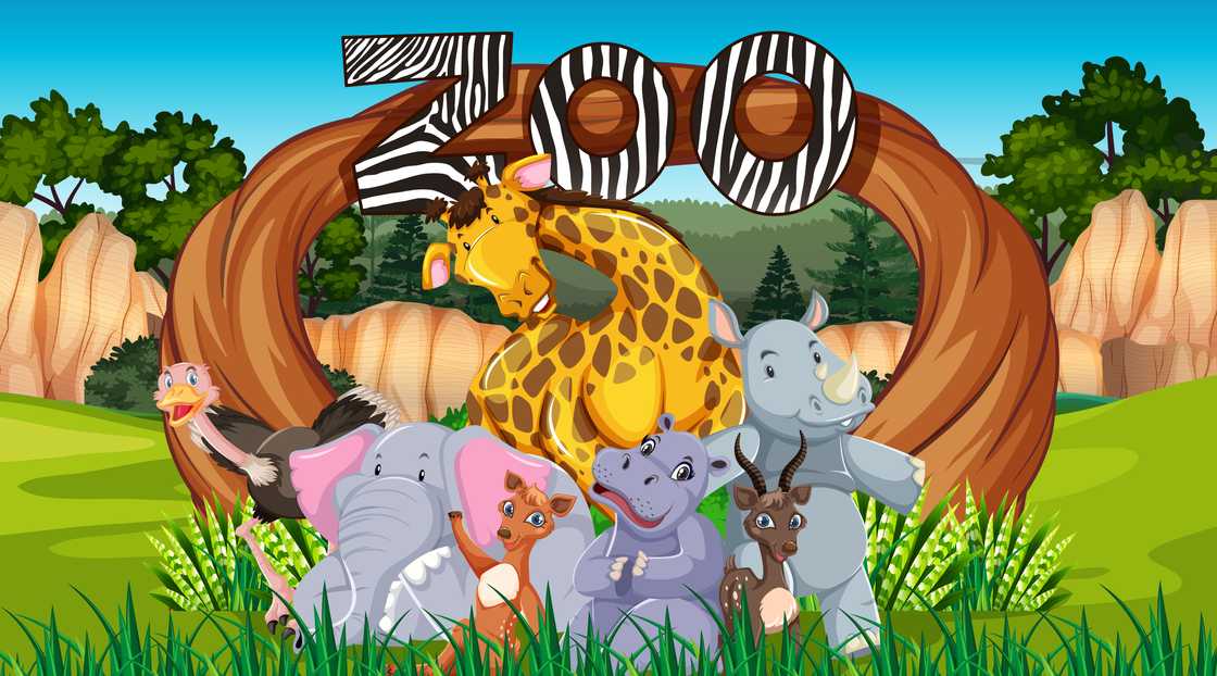 Zoo animals in the wild nature background