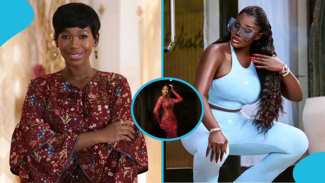 Ama K Abebrese, Nana Akua Addo, Yvonne Nelson, Ghanaian celebrities, red carpet fashion, celebrity drama, social media reactions