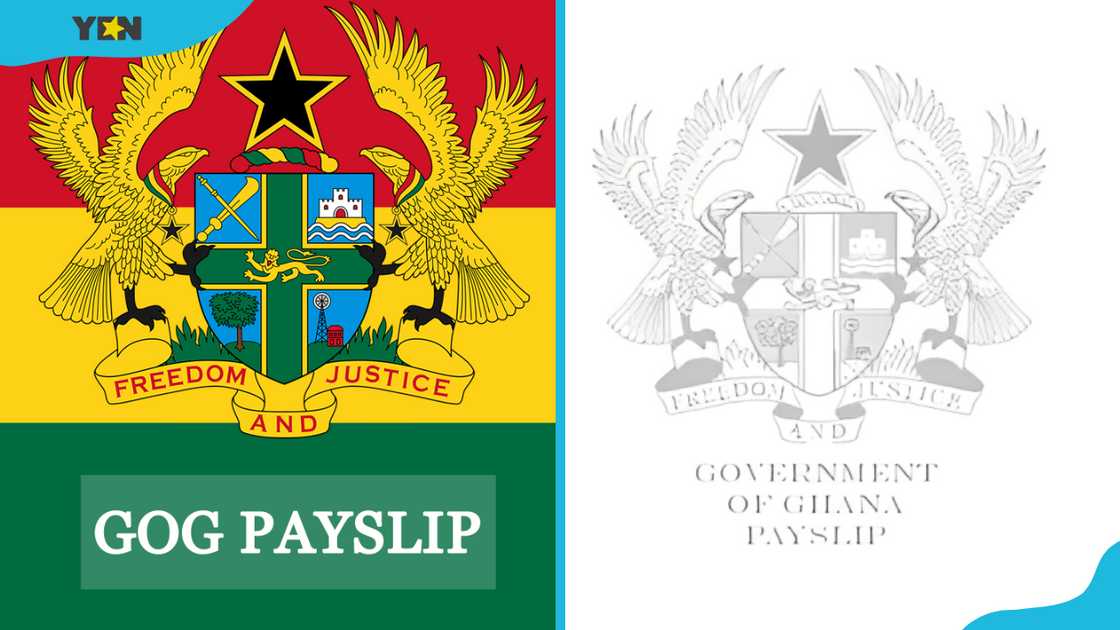 The GOG payslip logo in colour (L) and in black and white (R)