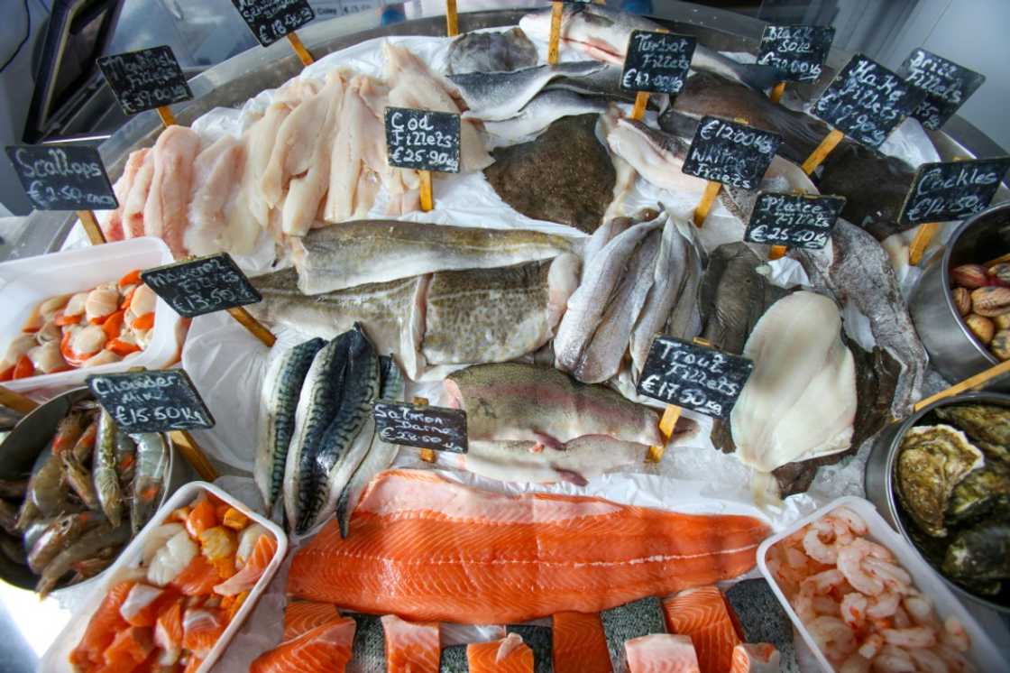 Of greatest concern is the migration of white fish stock such as cod