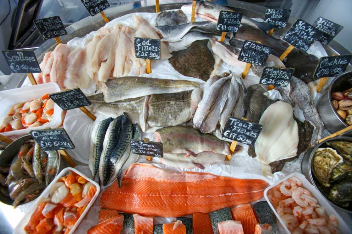 Of greatest concern is the migration of white fish stock such as cod Of greatest concern is the migration of white fish stock such as cod