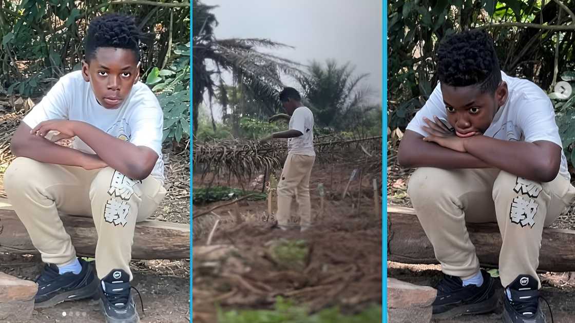 Shatta Wale's son, social media, Ghanaians, Juice Bae, businesses, roadside stall, Michy, Majesty Shatta Wale's son, social media, Ghanaians, Juice Bae, businesses, roadside stall, Michy, Majesty