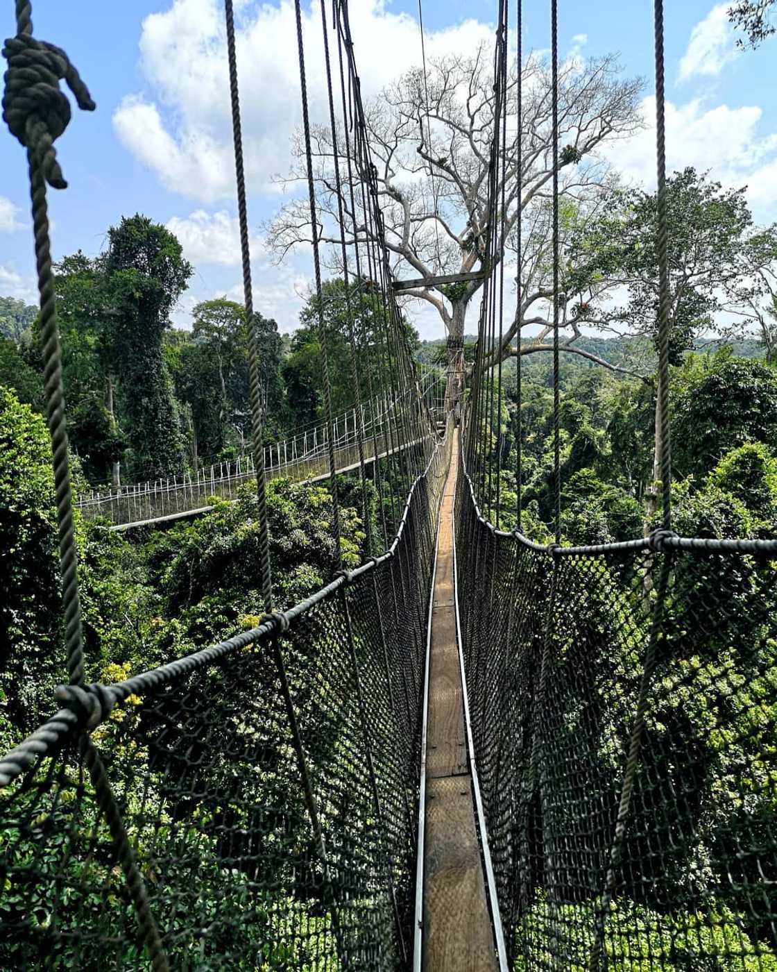 ghanaian images ghanaian images