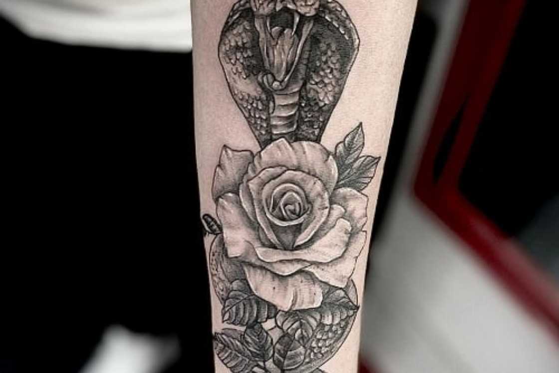 A black and grey snake and rose tattoo A black and grey snake and rose tattoo