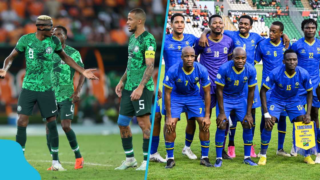 Nimbus Pronos, Oracle Whiskers, Nigeria vs Tanzania, AFCON 2025, football predictions, feline oracle, Super Eagles, football fans' reactions, cat predictions.