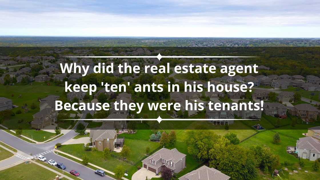 real estate quotes