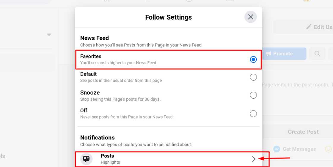 New Facebook algorithm: How to see Briefly news on your News Feed now New Facebook algorithm: How to see Briefly news on your News Feed now