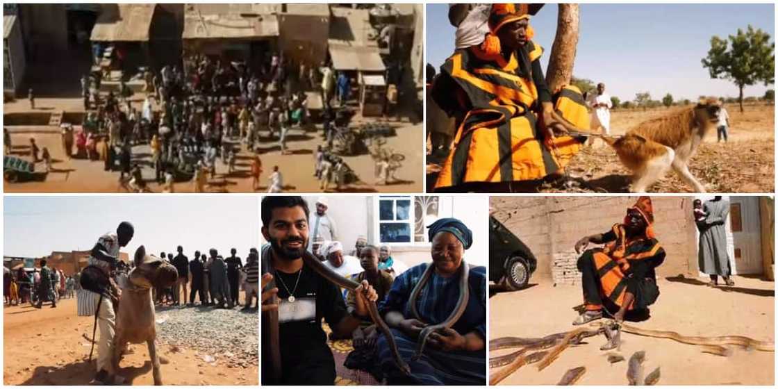 Reactions as video of Nigerian family that live with a wild hyena and snakes go viral Reactions as video of Nigerian family that live with a wild hyena and snakes go viral