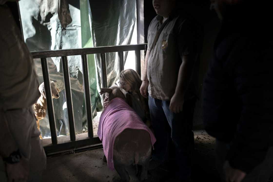 Contact: Rhino calf and carer Contact: Rhino calf and carer