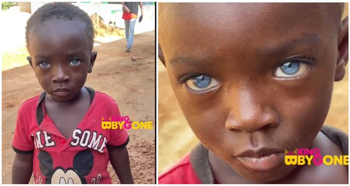 Ghanaian boy with blue eyes wows many on social media Ghanaian boy with blue eyes wows many on social media