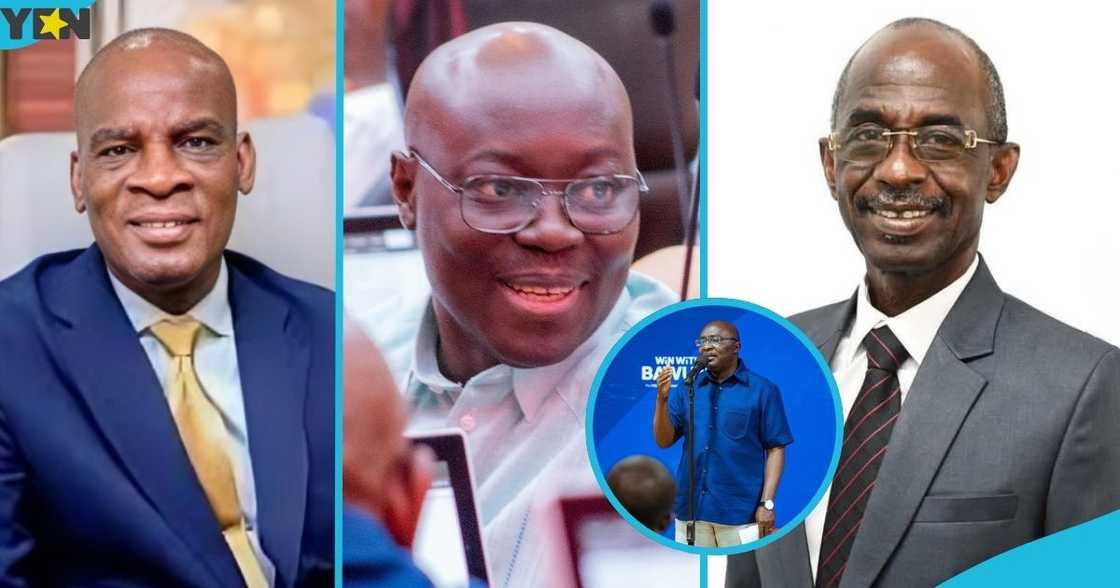 Haruna Iddrisu, Minister for Education, Dr Cassiel Ato Forson, NDC, presidential hopefuls, Johnson Asiedu Nketia, Dr Mahamudu bawumia.