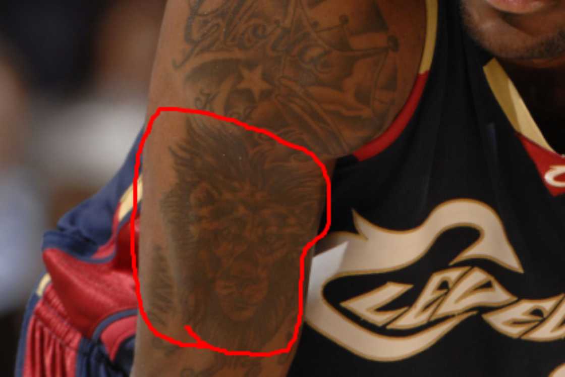 LeBron James' crowned lion tattoo was his first arm tattoo LeBron James' crowned lion tattoo was his first arm tattoo