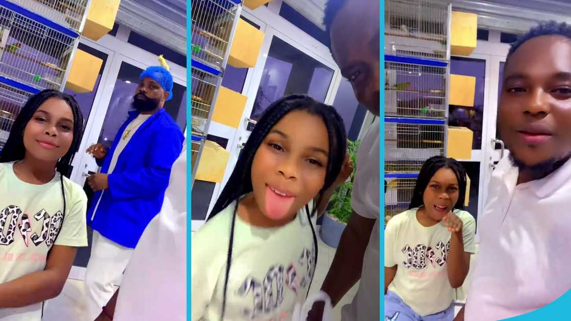 Nana Agradaa, Angel Asiamah, Rihanna, Agradaa's pet shop, Agradaa's bird shop, Agradaa in jail, Agradaa at Nsawam Prison, Agradaa's children
