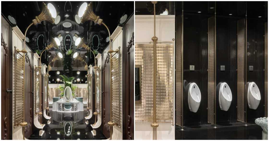 A look inside the urinal A look inside the urinal