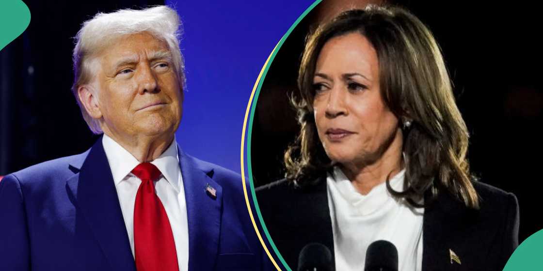 States that would greatly determine U.S. 2024 presidential election States that would greatly determine U.S. 2024 presidential election