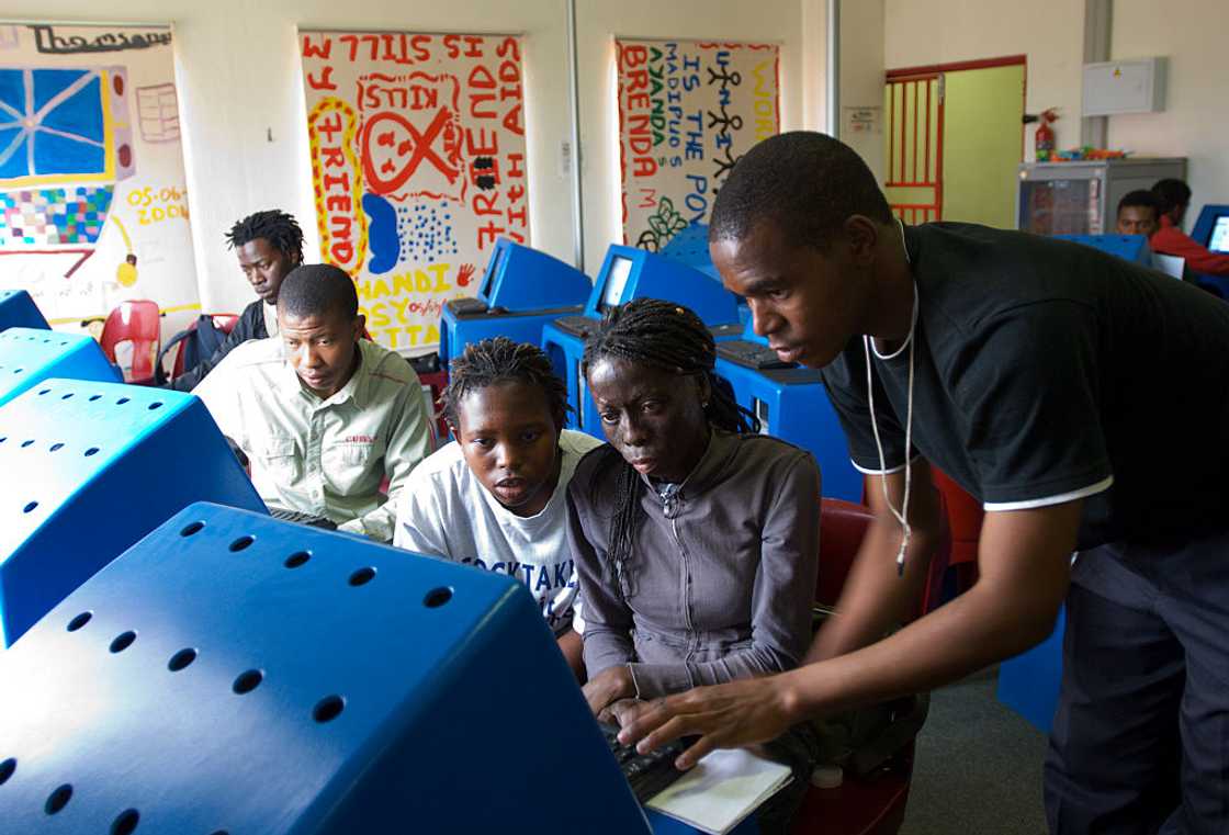 GNAT mutual fund GNAT mutual fund