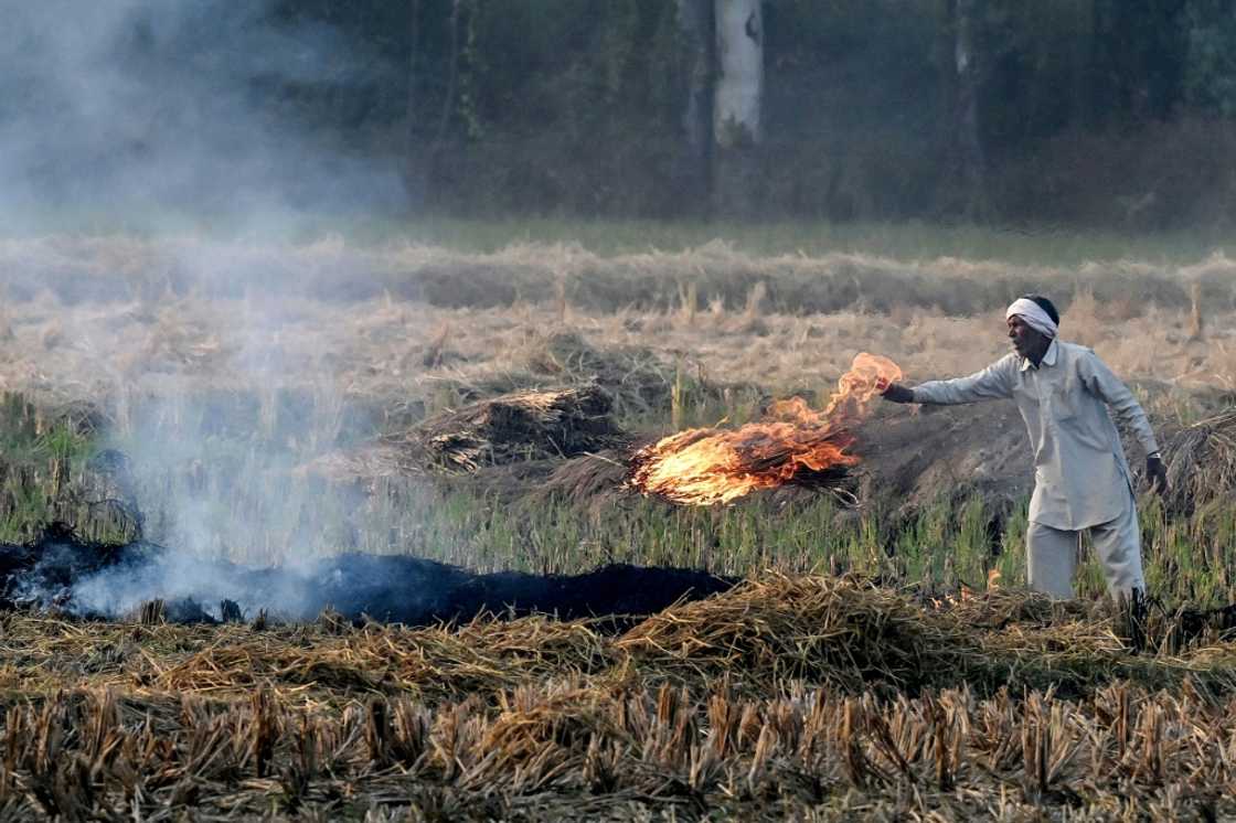 A farmer sets straw stubble ablaze after a harvest Haryana state A farmer sets straw stubble ablaze after a harvest Haryana state
