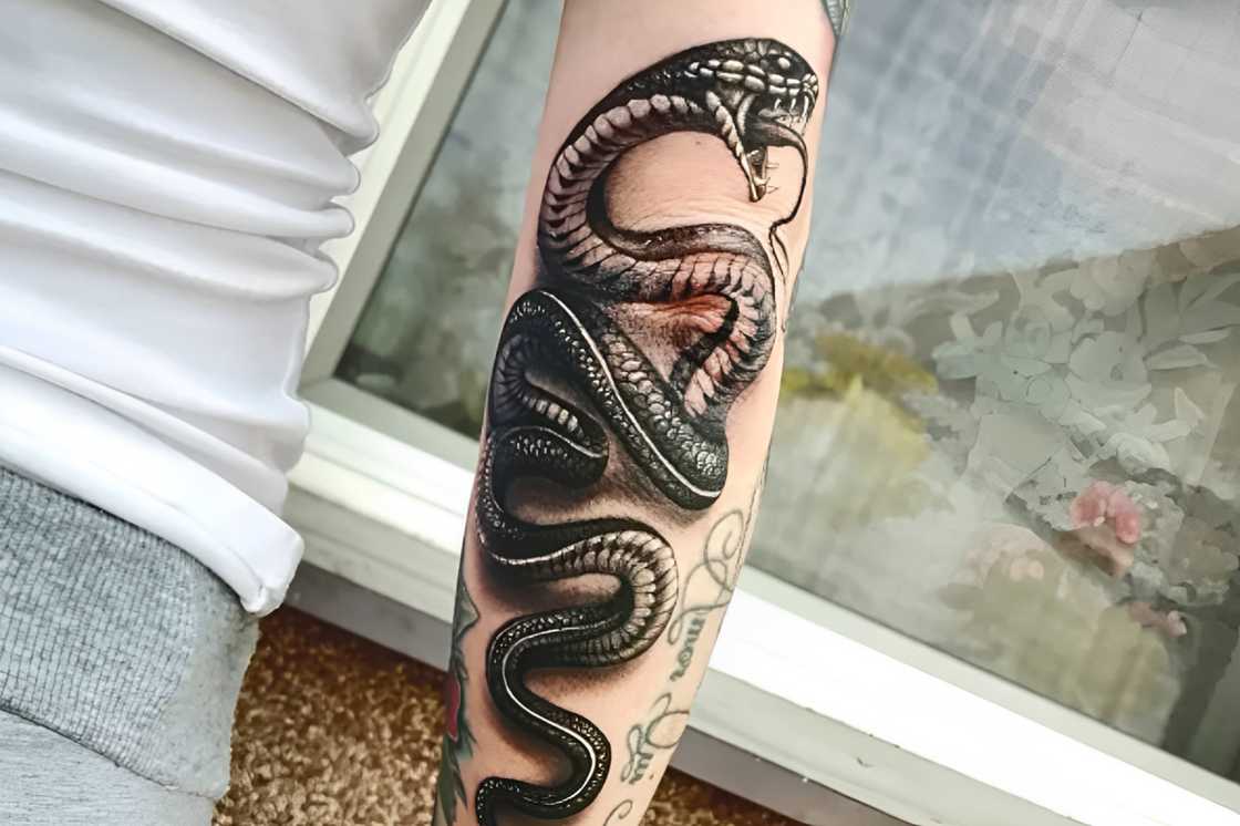 Black and grey snake elbow tattoo Black and grey snake elbow tattoo