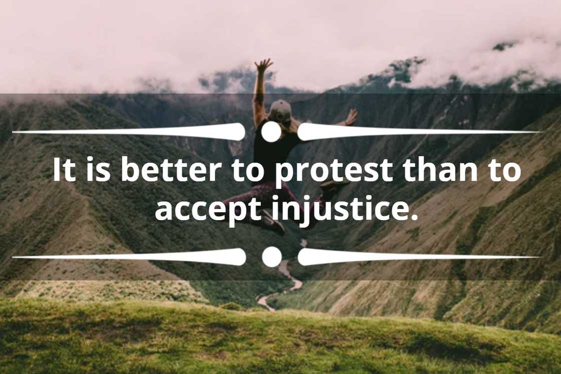 quotes by Rosa Parks quotes by Rosa Parks