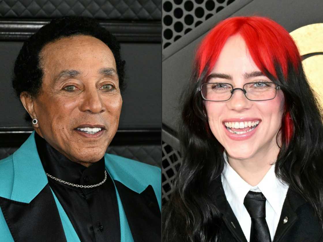 Smokey Robinson and Billie Eilish are amone hundreds of artists who have signed an open letter urging protections over the use of artificial intelligence in the arts