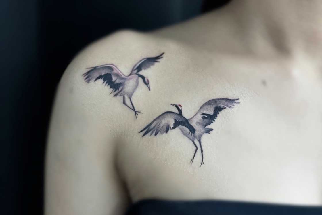 Black and grey front crane shoulder tattoo Black and grey front crane shoulder tattoo