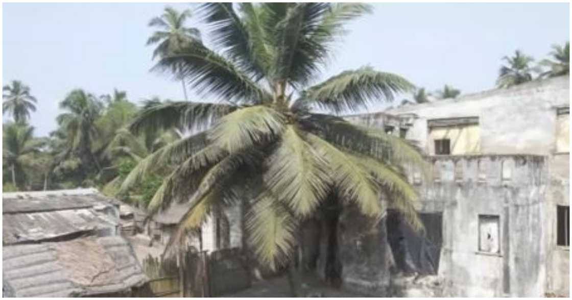 Nkrumah's dilapidated house Nkrumah's dilapidated house