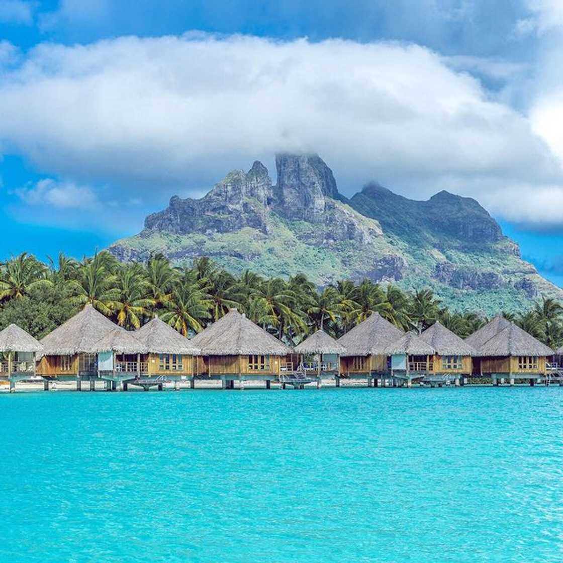 beachfront hotels beachfront hotels