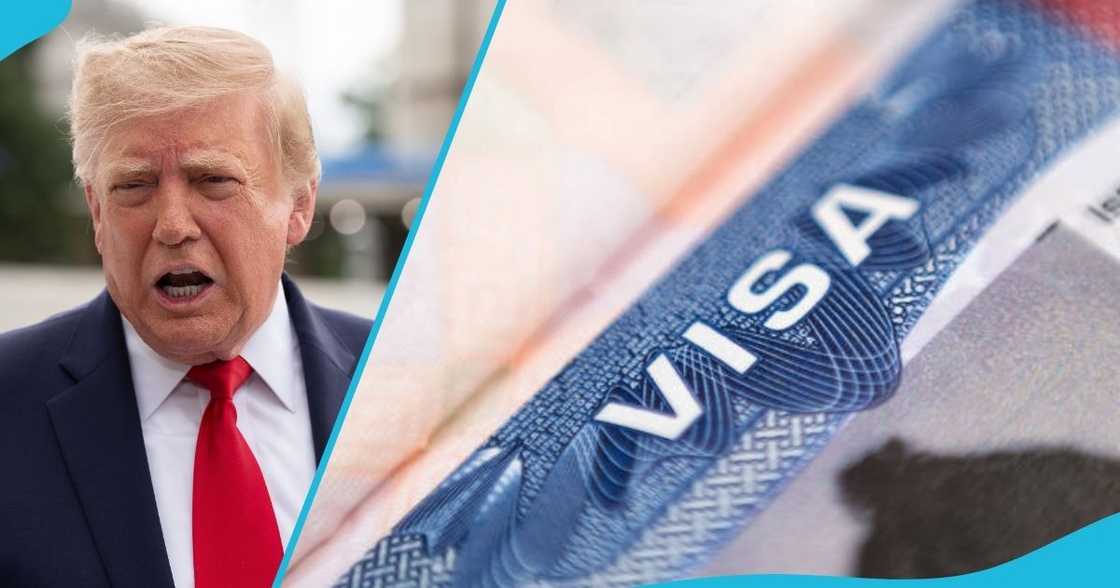 United States, US, US Department of State, US visa-waiver, 43 countries, Electronic System for Travel Authorisation, ESTA, US Customs and Border Protection