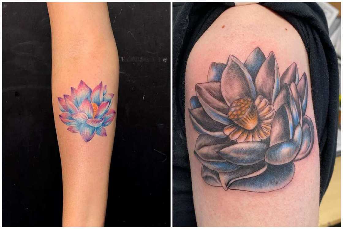 tattoos that represent growth tattoos that represent growth