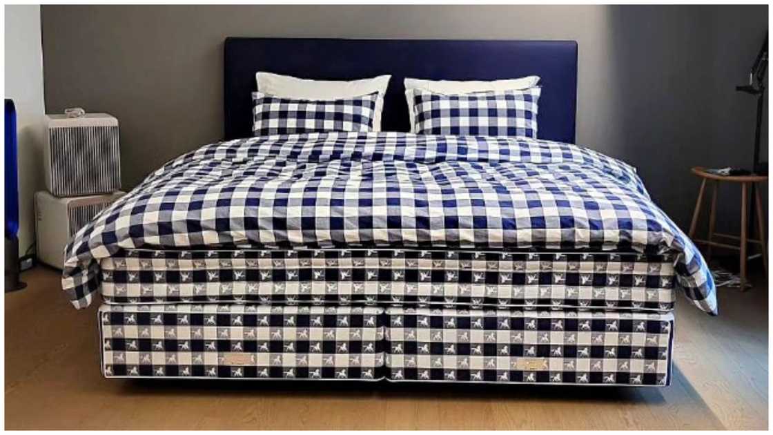 Traditional blue Hästens Dremer mattress