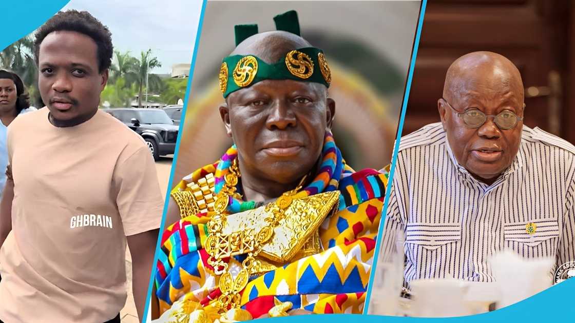 webkid africa, asantehene, akufo-addo, webkid apology, shatta wale, stonebwoy