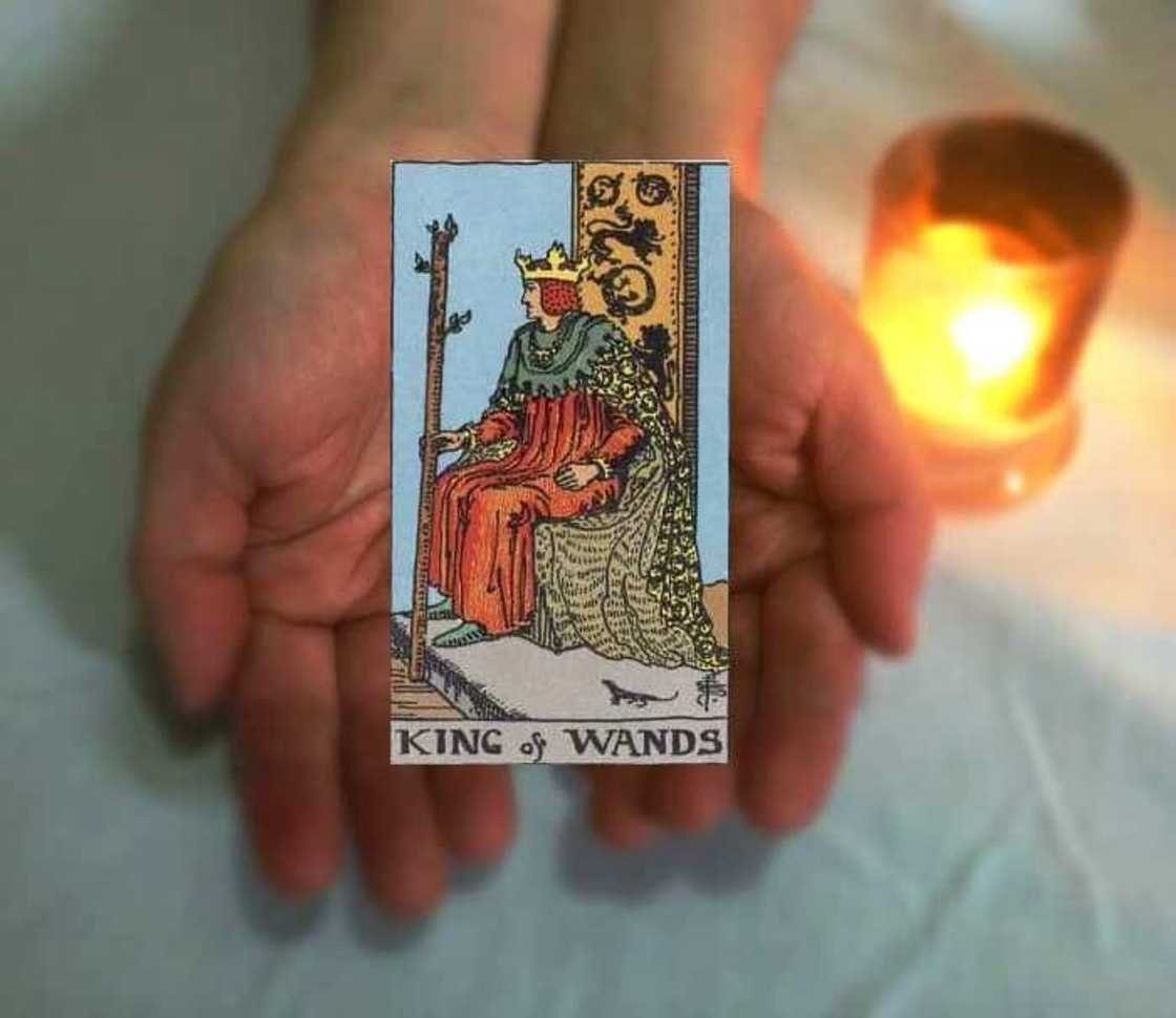 King of Wands