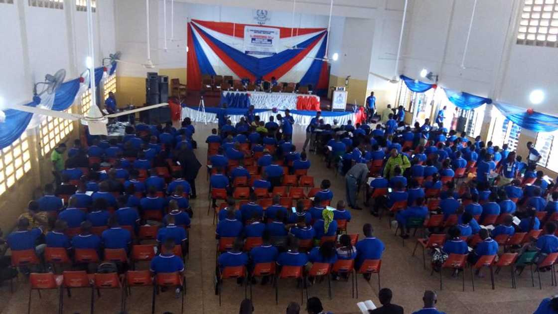 GNAT mutual fund GNAT mutual fund