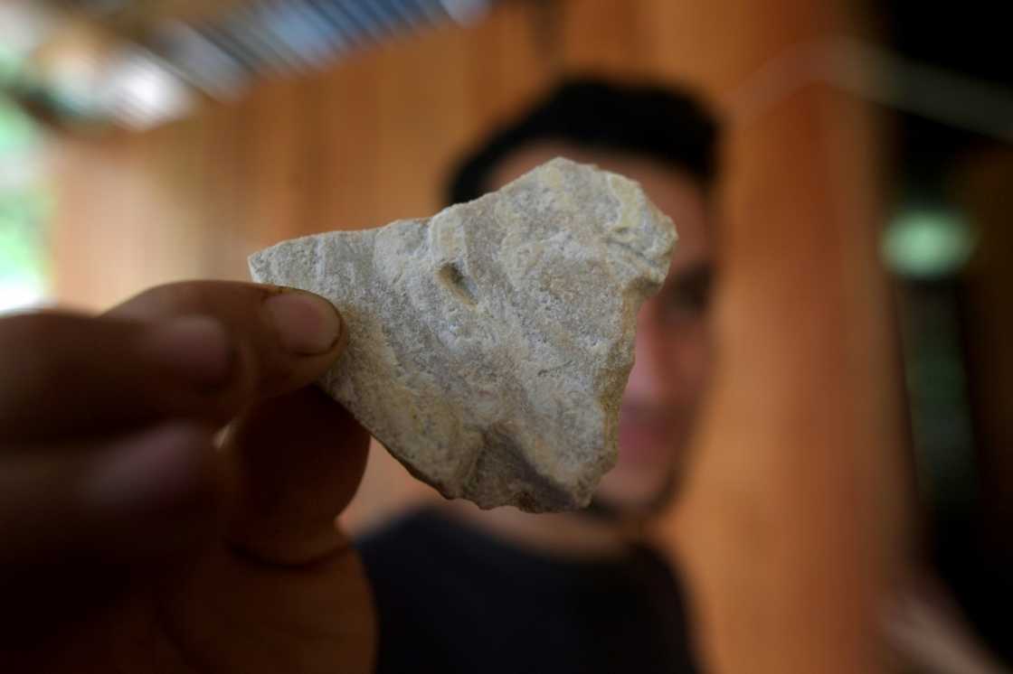 Coca paste extracted from the coca plant in the cocaine-producing process Coca paste extracted from the coca plant in the cocaine-producing process